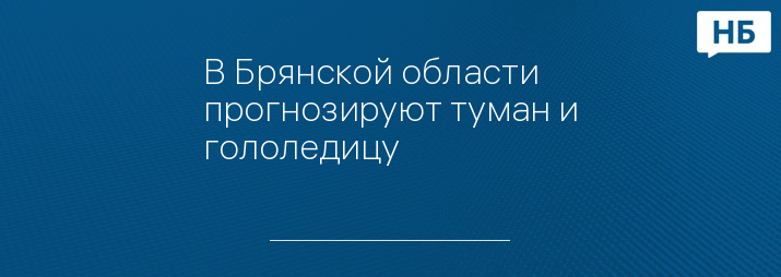 В Брянской области прогнозируют туман и гололедицу