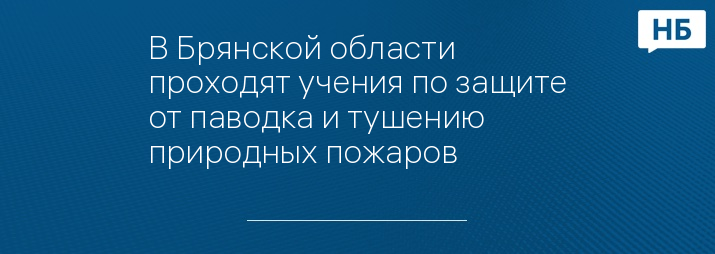 В Брянской области проходят учения по защите от паводка и тушению природных пожаров