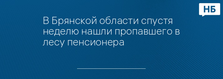 В Брянской области спустя неделю нашли пропавшего в лесу пенсионера