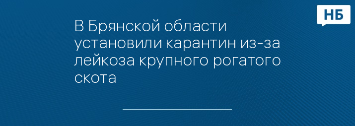 В Брянской области установили карантин из-за лейкоза крупного рогатого скота