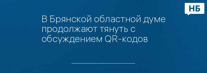 В Брянской областной думе продолжают тянуть с обсуждением QR-кодов