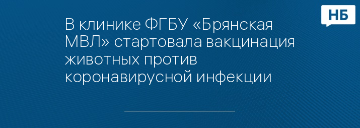 В клинике ФГБУ «Брянская МВЛ» стартовала вакцинация животных против коронавирусной инфекции