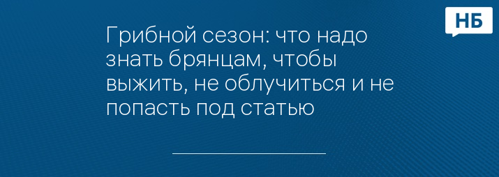 Грибной сезон: что надо знать брянцам, чтобы выжить, не облучиться и не попасть под статью