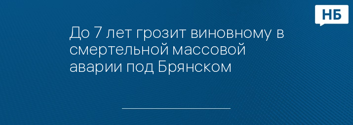 До 7 лет грозит виновному в смертельной массовой аварии под Брянском