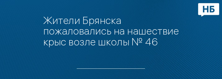 Жители Брянска пожаловались на нашествие крыс возле школы № 46