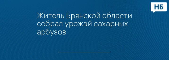 Житель Брянской области собрал урожай сахарных арбузов