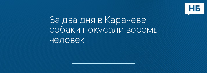 За два дня в Карачеве собаки покусали восемь человек