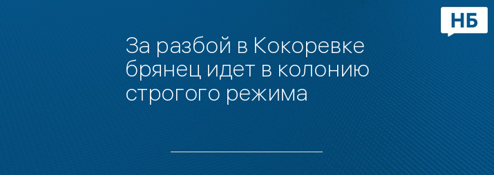 За разбой в Кокоревке брянец идет в колонию строгого режима