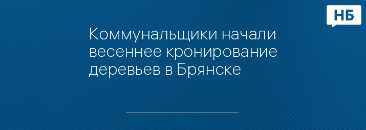 Коммунальщики начали весеннее кронирование деревьев в Брянске