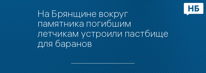 На Брянщине вокруг памятника погибшим летчикам устроили пастбище для баранов