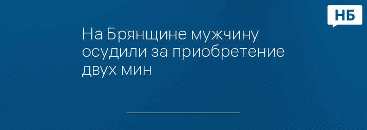 На Брянщине мужчину осудили за приобретение двух мин