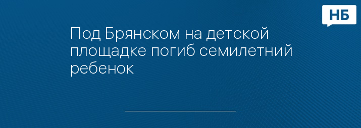 Под Брянском на детской площадке погиб семилетний ребенок