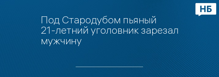 Под Стародубом пьяный 21-летний уголовник зарезал мужчину