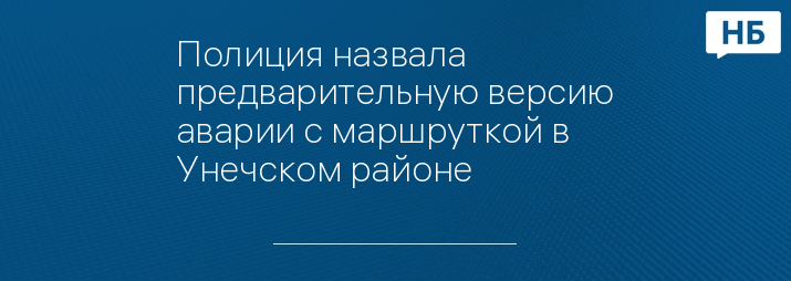 Полиция назвала предварительную версию аварии с маршруткой в Унечском районе