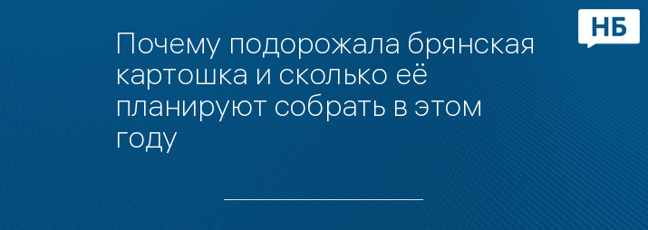 Почему подорожала брянская картошка и сколько её планируют собрать в этом году