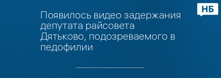 Появилось видео задержания депутата райсовета Дятьково, подозреваемого в педофилии