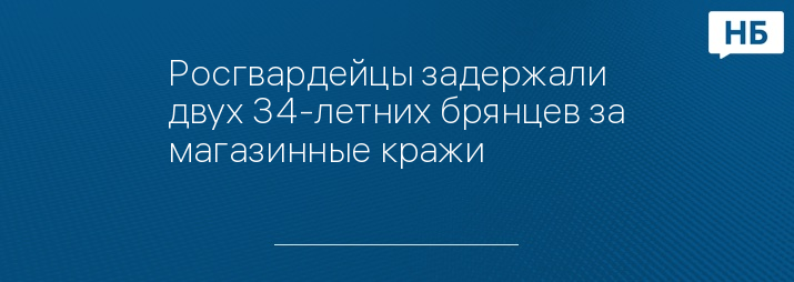 Росгвардейцы задержали двух 34-летних брянцев за магазинные кражи