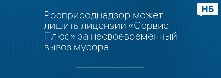 Росприроднадзор может лишить лицензии «Сервис Плюс» за несвоевременный вывоз мусора