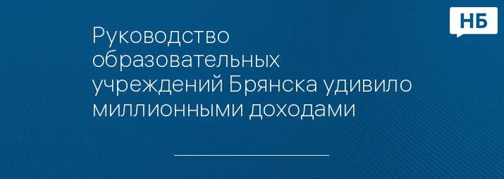 Руководство образовательных учреждений Брянска удивило миллионными доходами