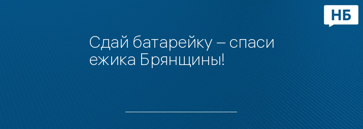 Сдай батарейку – спаси ежика Брянщины!