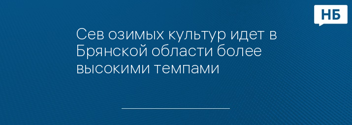 Сев озимых культур идет в Брянской области более высокими темпами