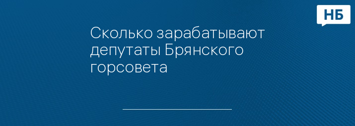 Сколько зарабатывают депутаты Брянского горсовета