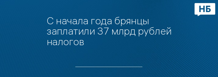 С начала года брянцы заплатили 37 млрд рублей налогов