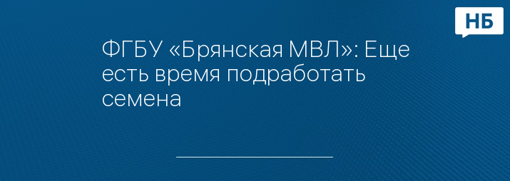 ФГБУ «Брянская МВЛ»: Еще есть время подработать семена