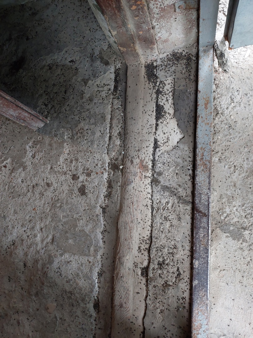 Preview Image 1