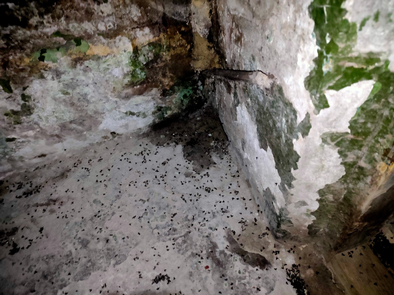 Preview Image 1