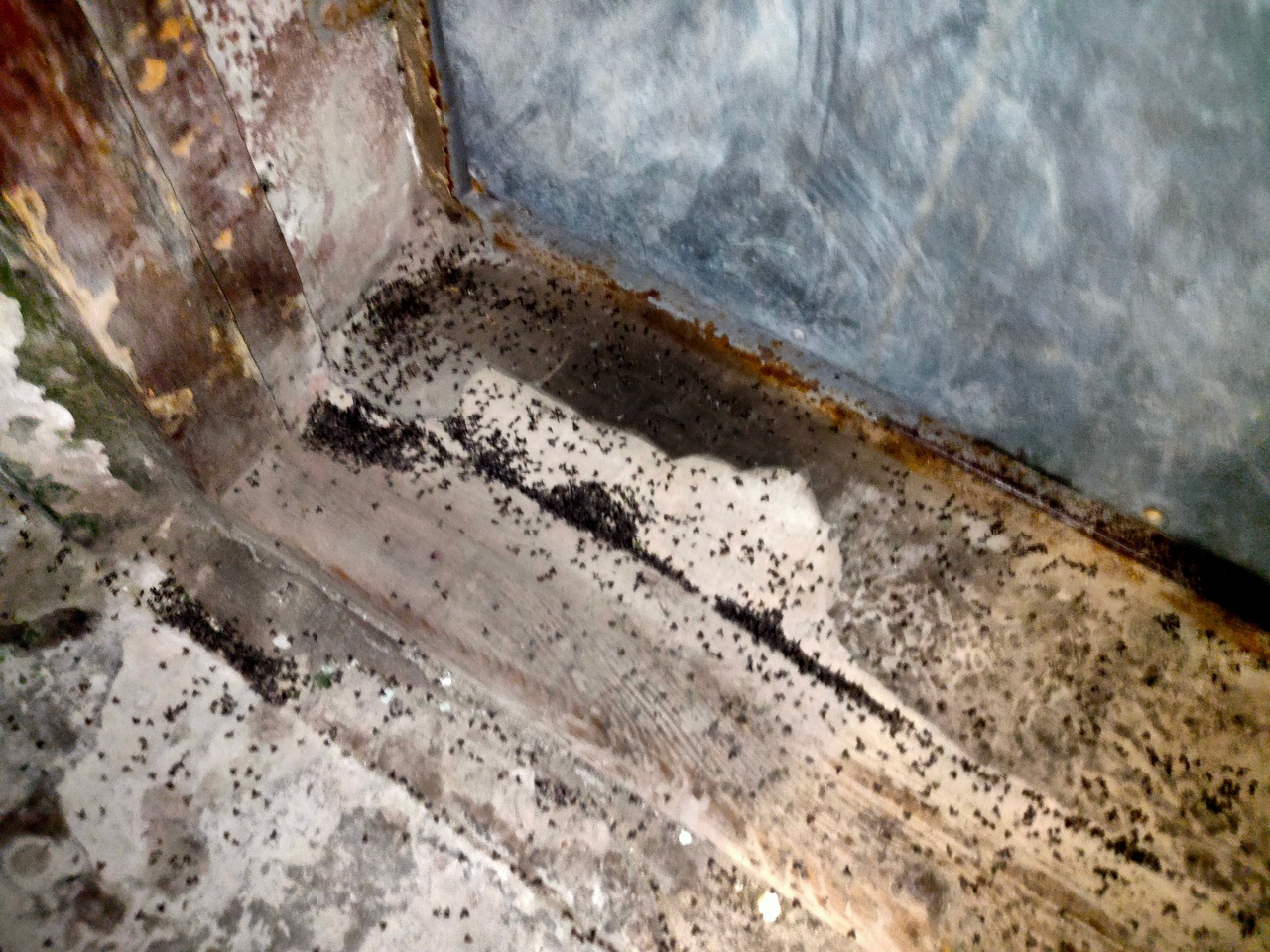 Preview Image 1