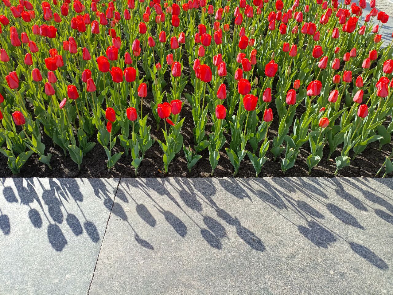 Preview Image 1