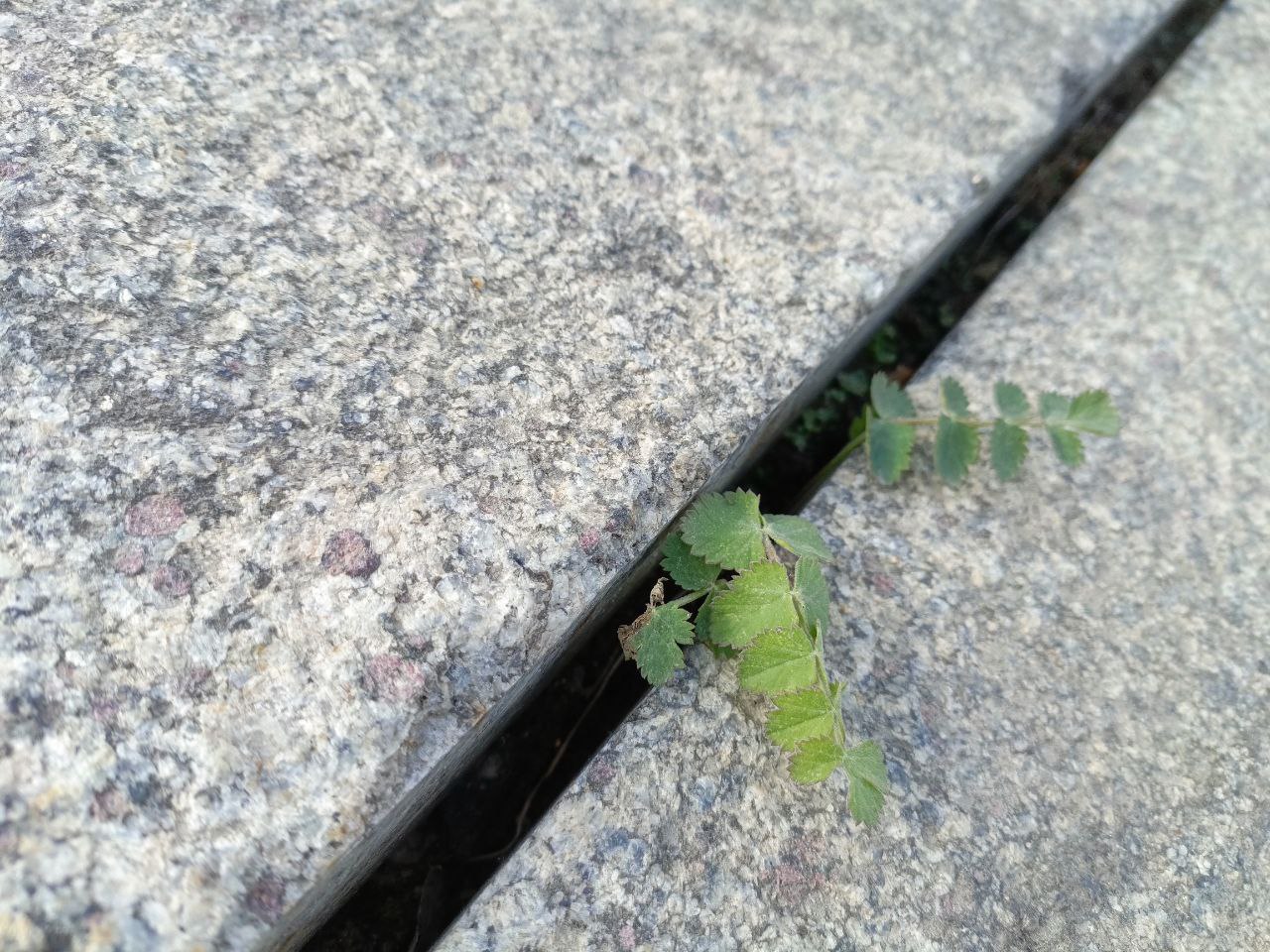 Preview Image 1