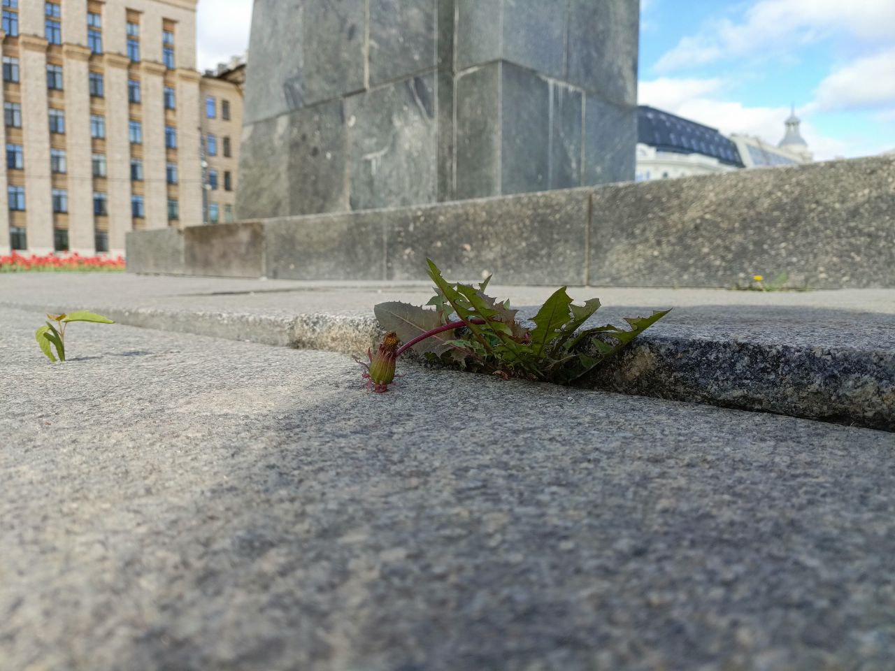 Preview Image 1