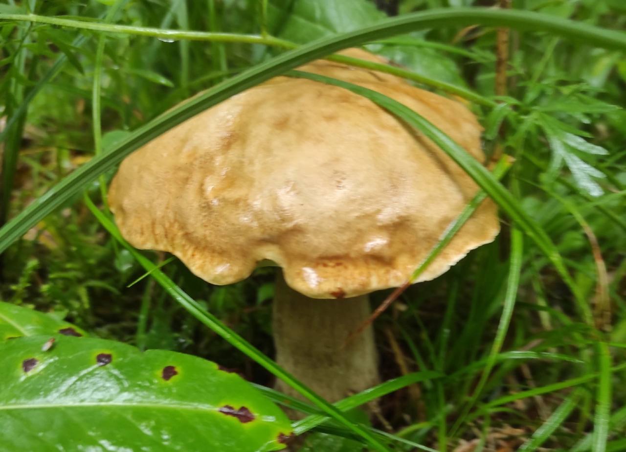 Preview Image 1