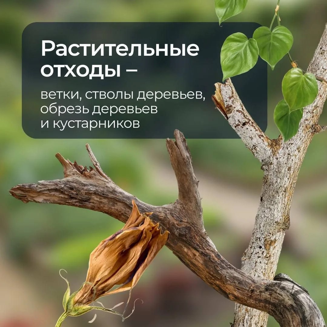 Preview Image 1