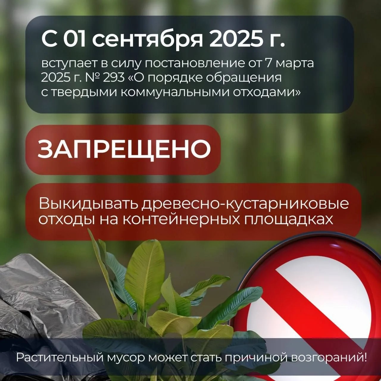 Preview Image 1