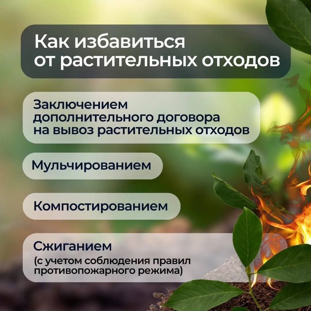 Preview Image 1