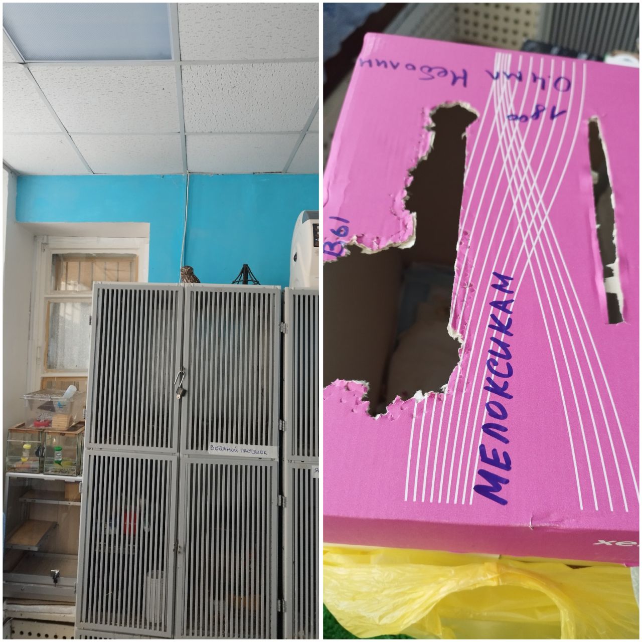 Preview Image 1