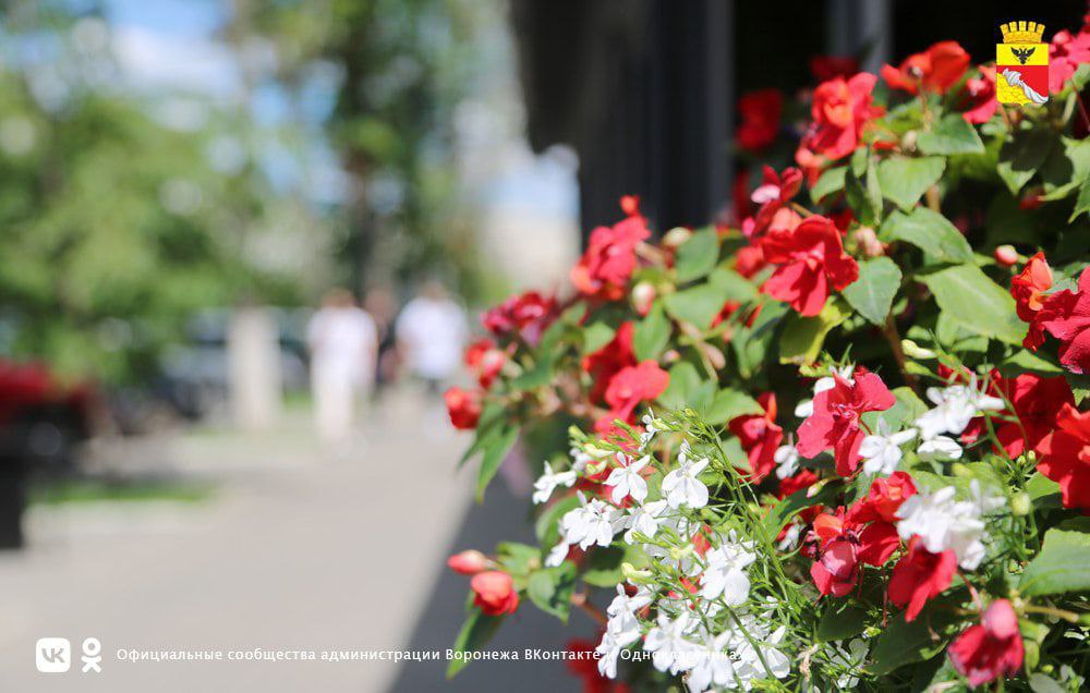 Preview Image 1