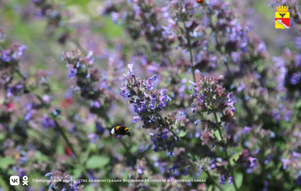 Preview Image 1