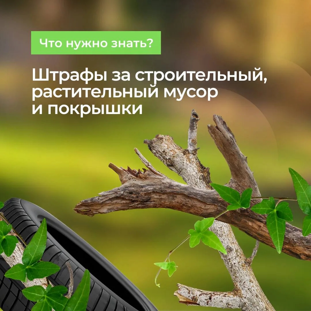 Preview Image 1