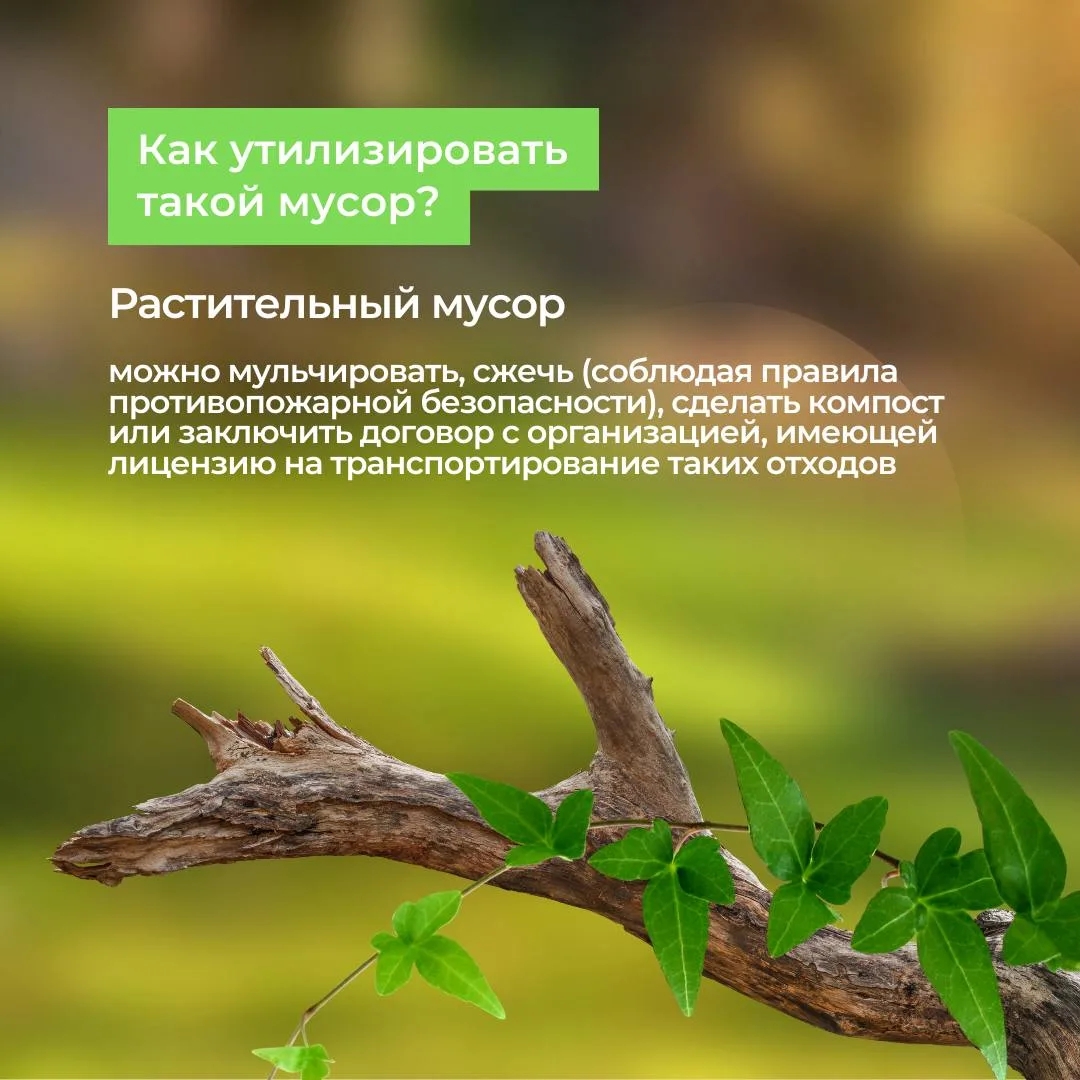 Preview Image 1
