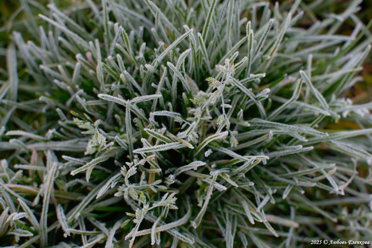 Preview Image 1