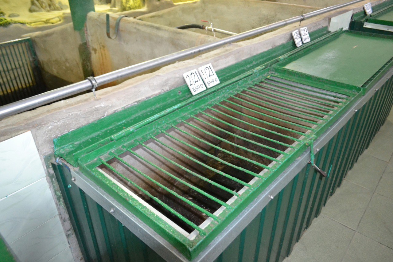 Preview Image 1