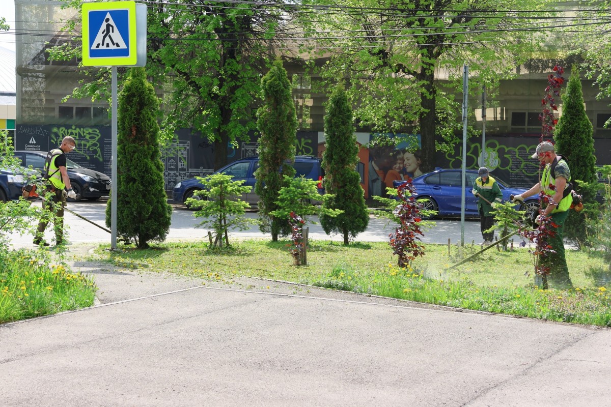 Preview Image 1