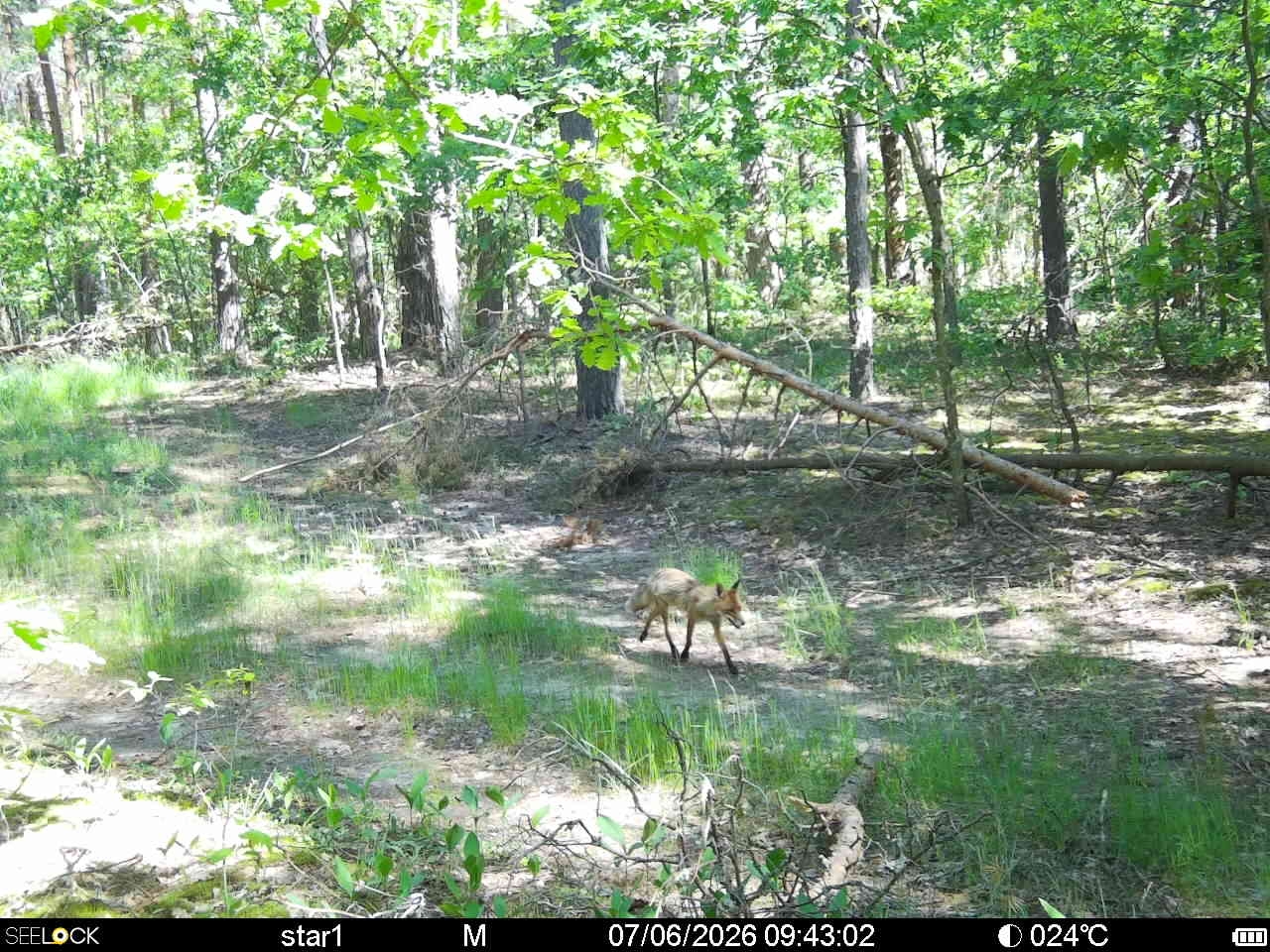 Preview Image 1