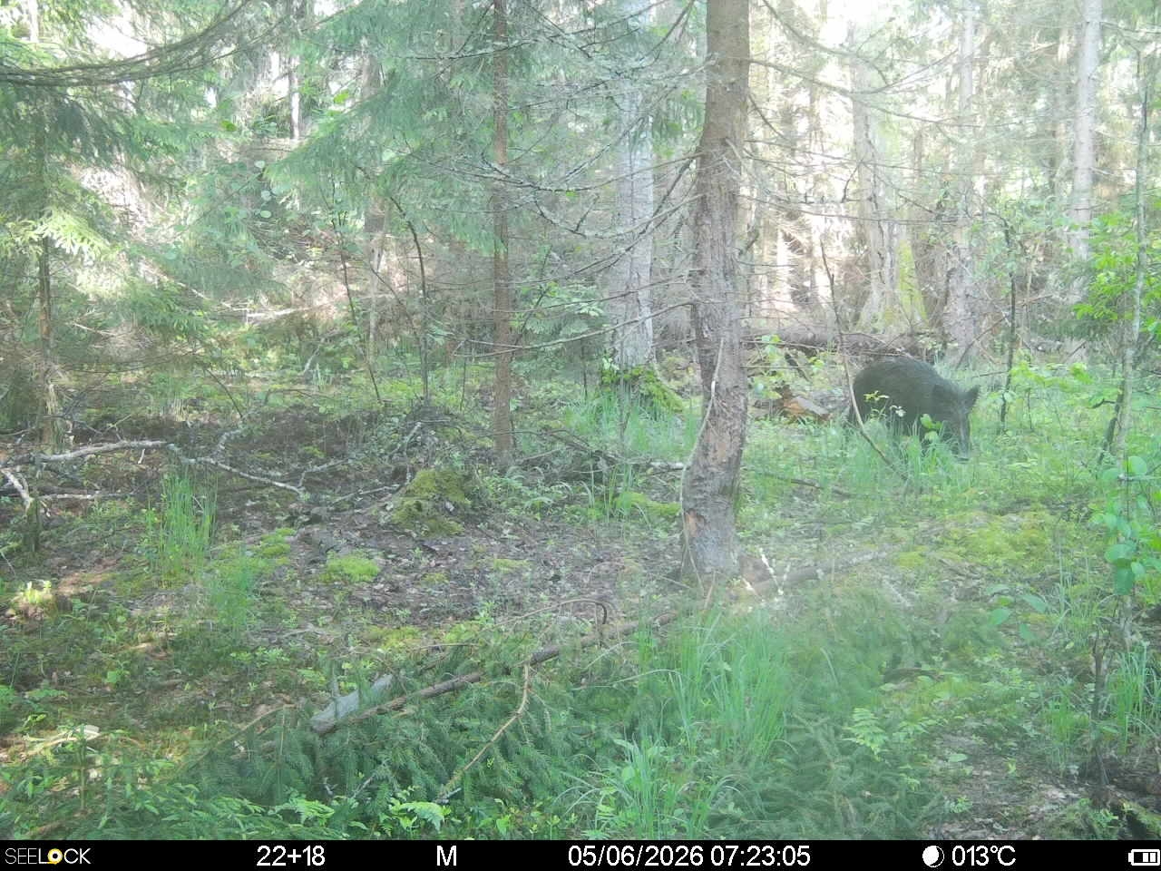 Preview Image 1