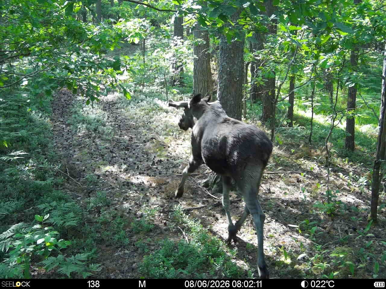 Preview Image 1