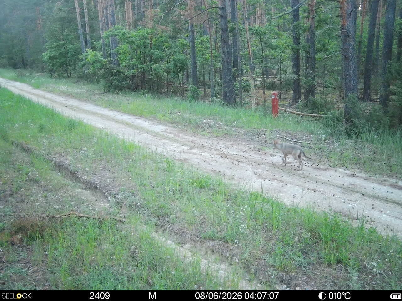 Preview Image 1